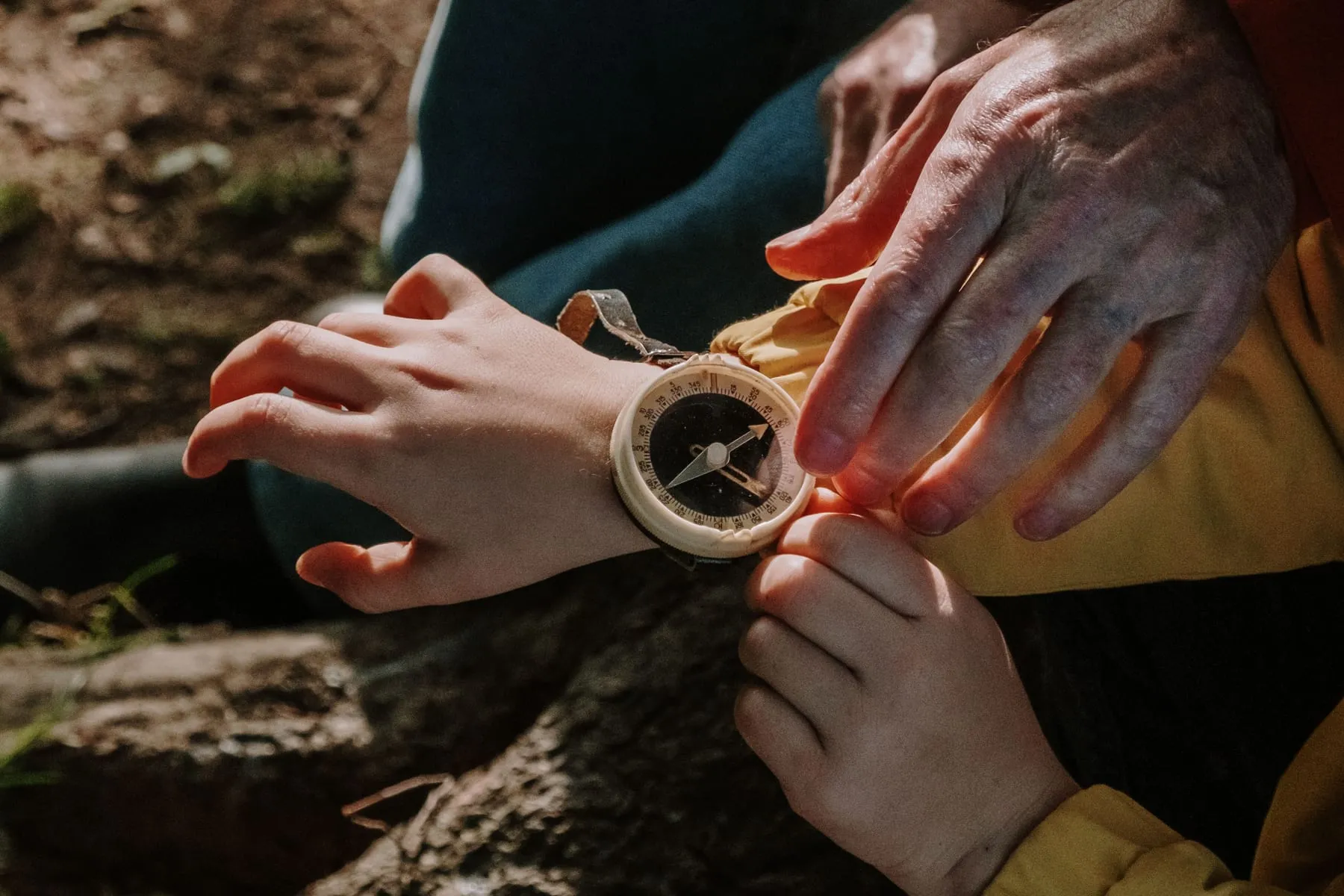 Family values: how to find your family's north star